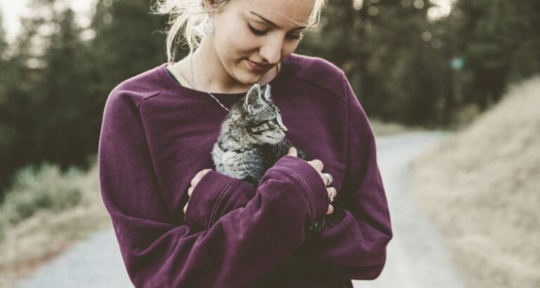 The Best Cat Tips You Will Ever Read