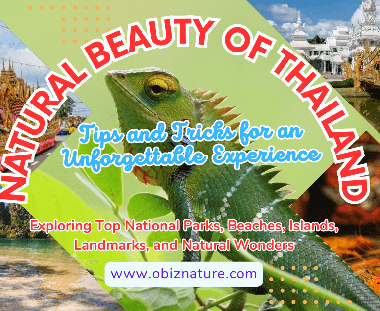 Natural Beauty Of Thailand